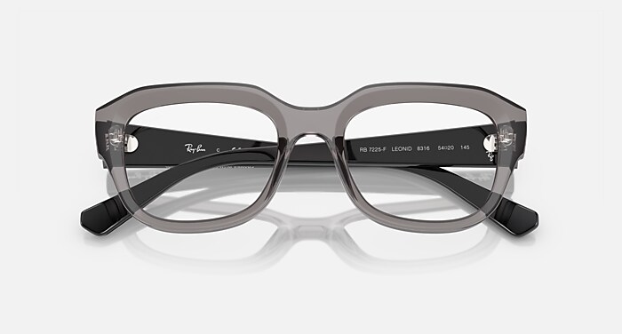 LEONID OPTICS BIO-BASED メガネ トランスペアレント グレー と クリア