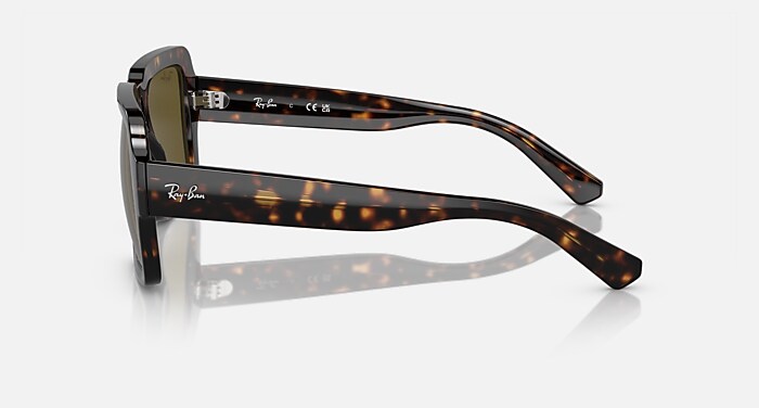 MAGELLAN BIO-BASED Sunglasses in Havana and Dark Brown - RB4408