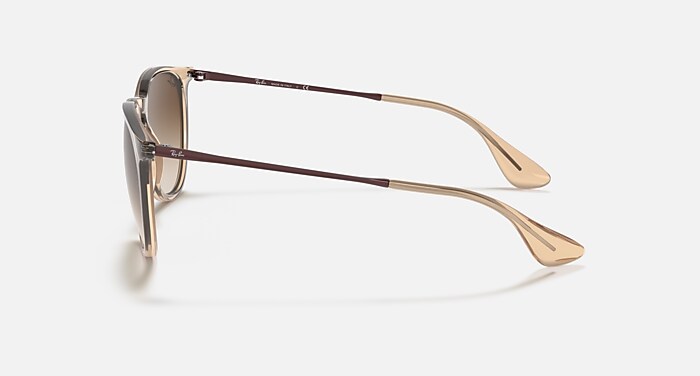 ERIKA COLOR MIX Sunglasses in Transparent Brown and Brown Gradient
