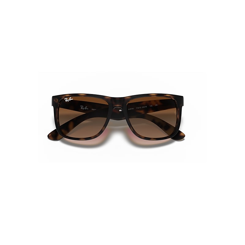 JUSTIN CLASSIC Sunglasses in Havana and Dark Brown (54-16