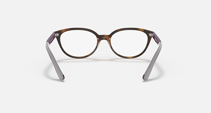 RB1612 OPTICS KIDS Polarized Eyeglasses with Havana and Clear (48