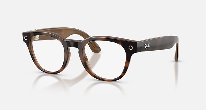 Rayban logo
