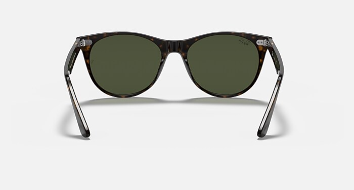 WAYFARER II CLASSIC Sunglasses in Tortoise and G-15 Green  display picture 3
