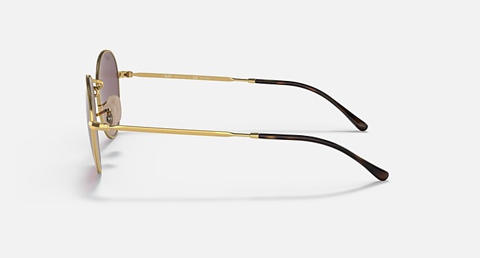 レイバン公式ストア】 Ray-Ban® DAVID サングラス | アリスタゴールド