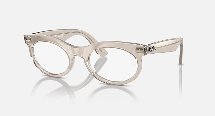 WAYFARER OVAL OPTICS CHANGE Eyeglasses with Photo Waves Grey and
