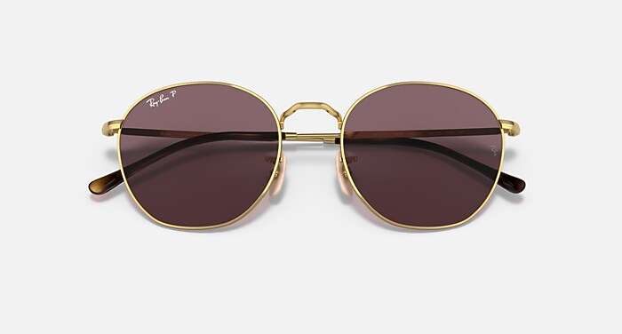 ROB Sunglasses in Arista Gold and Dark Violet Polarized - RB3772