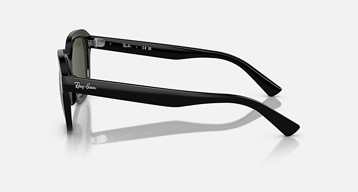 ERIK Sunglasses in Black and Green (53-20) - RB4398 | Ray-Ban® US
