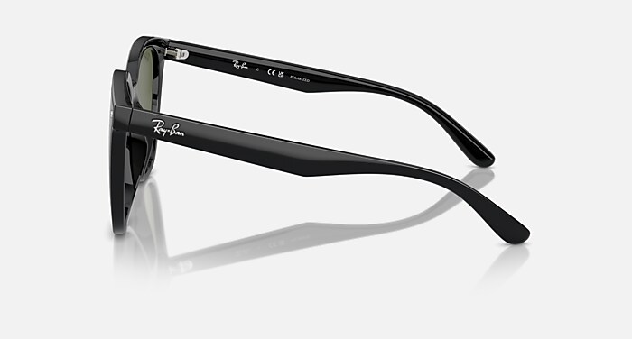 レイバン公式ストア】 Ray-Ban® RB4423D サングラス | ブラック X Dark 