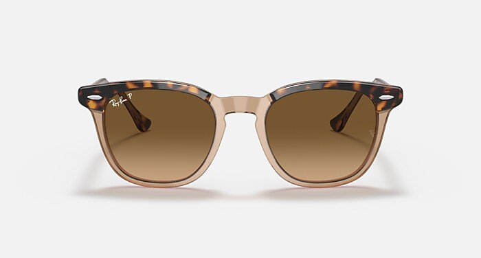 HAWKEYE Sunglasses in Havana On Transparent Brown and Brown