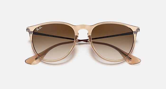 ERIKA COLOR MIX Sunglasses in Transparent Brown and Brown Gradient