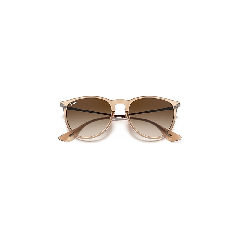 ERIKA COLOR MIX Sunglasses in Transparent Brown and Brown Gradient