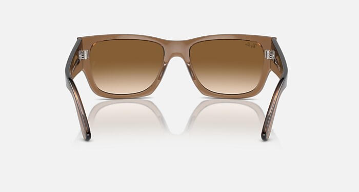 Ray-Ban クリアブラウン サングラス CARLOS Sunglasses in Transparent Light Brown and Clear & Brown (56