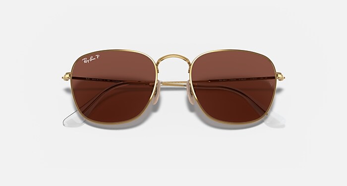 FRANK Polarized Sunglasses in Legend Gold and Purple (48-20