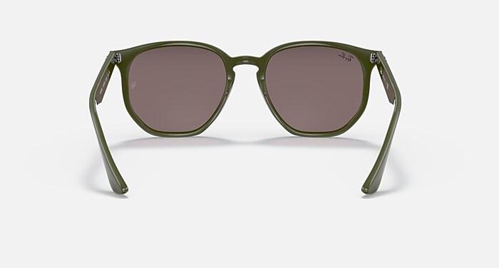 RB4306 Sunglasses in Green and Violet (54-19) - RB4306F 