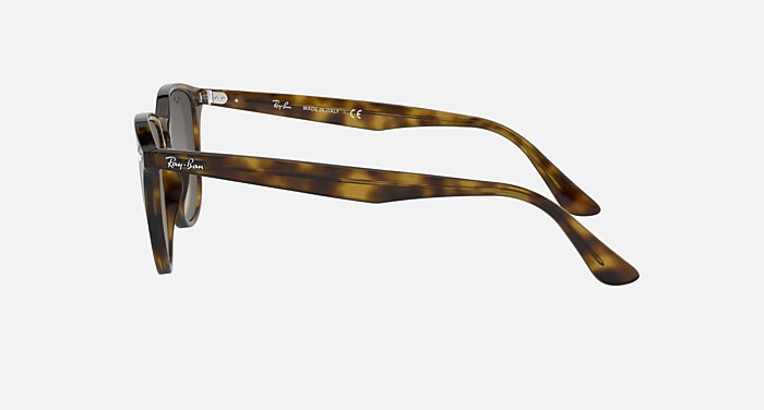 RB4259F Sunglasses in Light Havana and Grey Gradient (53-20