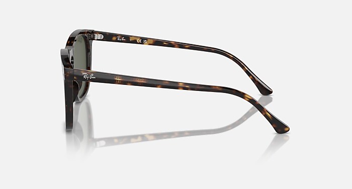 RB2210 Sunglasses in Havana and Green (53-21) - RB2210F | Ray-Ban® US