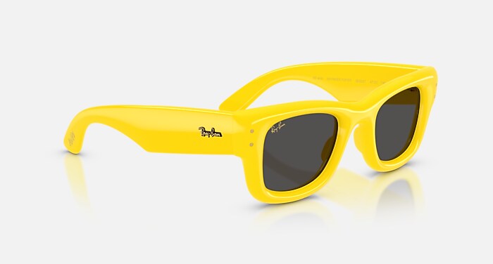 レイバン公式ストア】 Ray-Ban® WAYFARER PUFFER サングラス