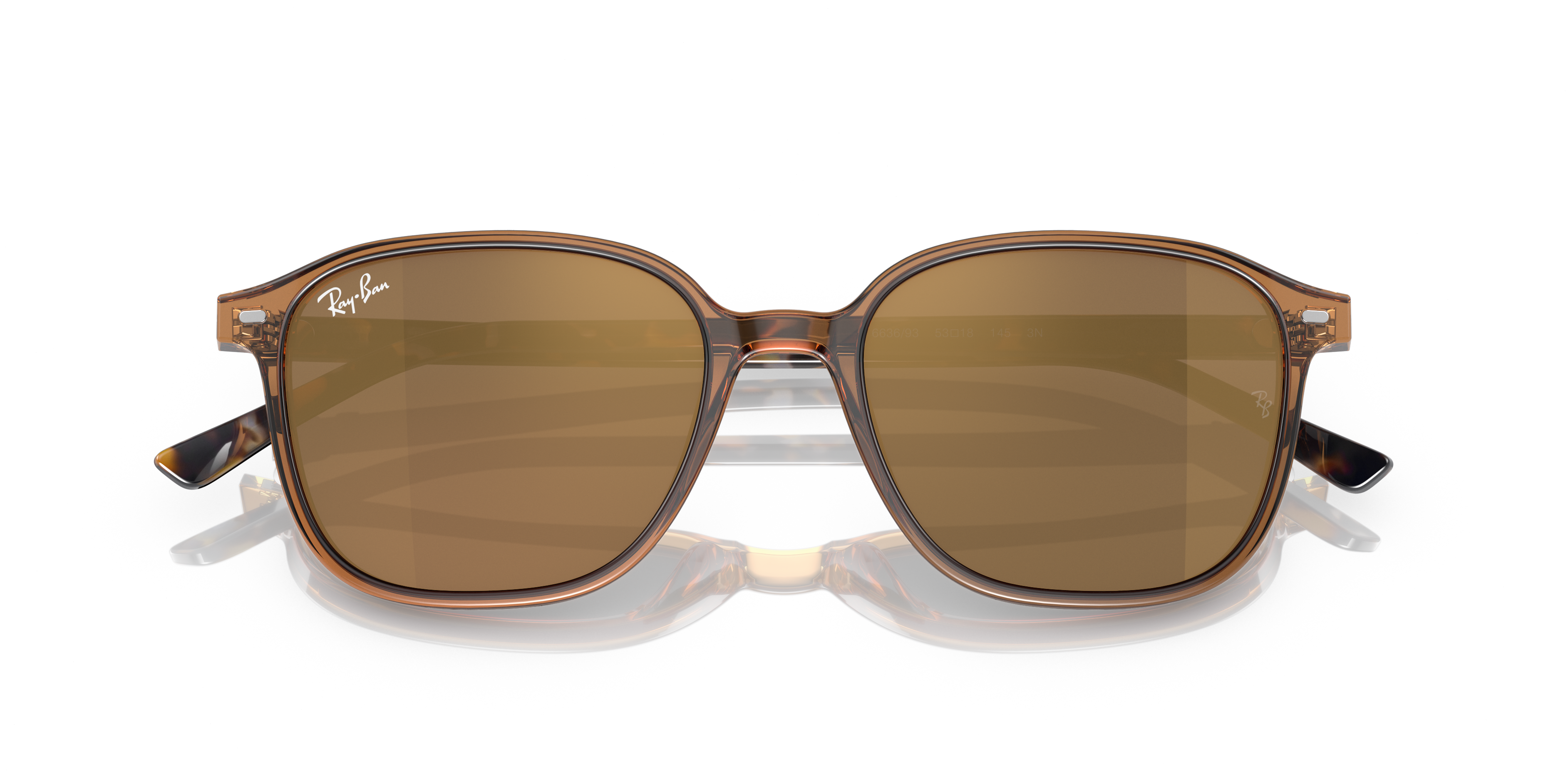LEONARD Sunglasses in Transparent Brown and Light Brown (55-18 LEONARD Sunglasses in Transparent Brown and Light Brown (55-18