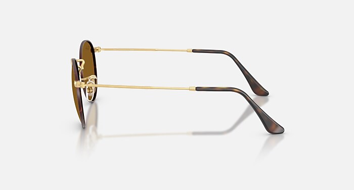 レイバン公式ストア】 Ray-Ban® ROUND METAL サングラス | マット