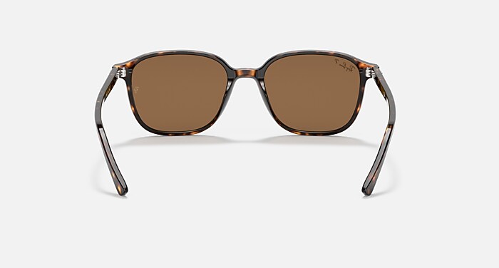 LEONARD Polarized Sunglasses in Tortoise and Brown Polarized (53
