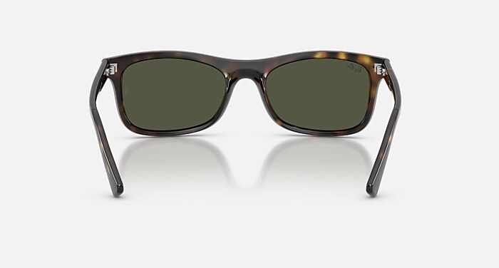 RB2226 Sunglasses in Havana and Green (57-20) - RB2226 | Ray-Ban® US