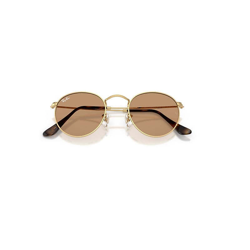 ROUND METAL Sunglasses in Arista and Brown (47-21) - RB3447 | Ray