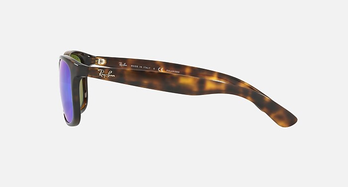 ANDY Polarized Sunglasses in Havana and Blue Polarized (57-17