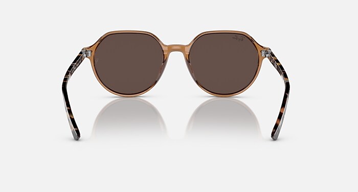 THALIA Sunglasses in Transparent Brown and Gold (53-18) - RB2195