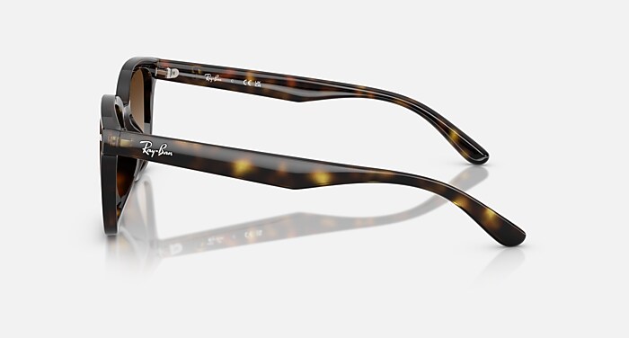 レイバン公式ストア】 Ray-Ban® RB4461D サングラス | ハバナ X 諧調 