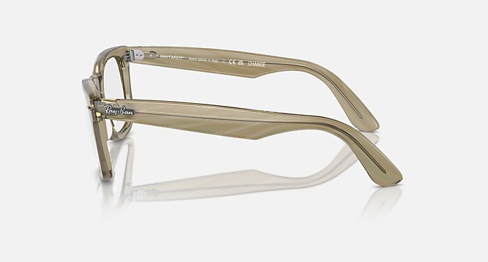 ORIGINAL WAYFARER OPTICS CHANGE Eyeglasses with Photo Striped Grey