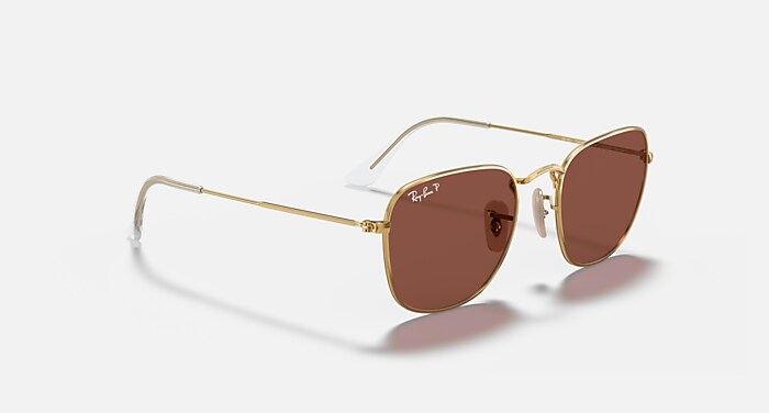 FRANK Polarized Sunglasses in Legend Gold and Purple (48-20