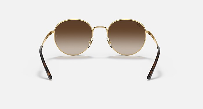 レイバン公式ストア】 Ray-Ban® RB3681 サングラス | アリスタゴールド