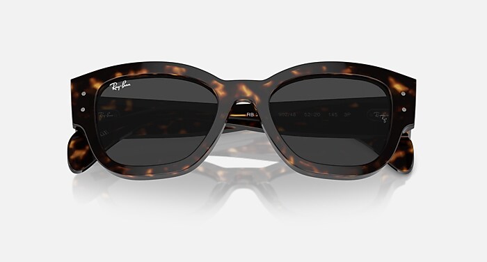 JORGE Sunglasses in Havana and Black Polarized - RB7681S | Ray-Ban