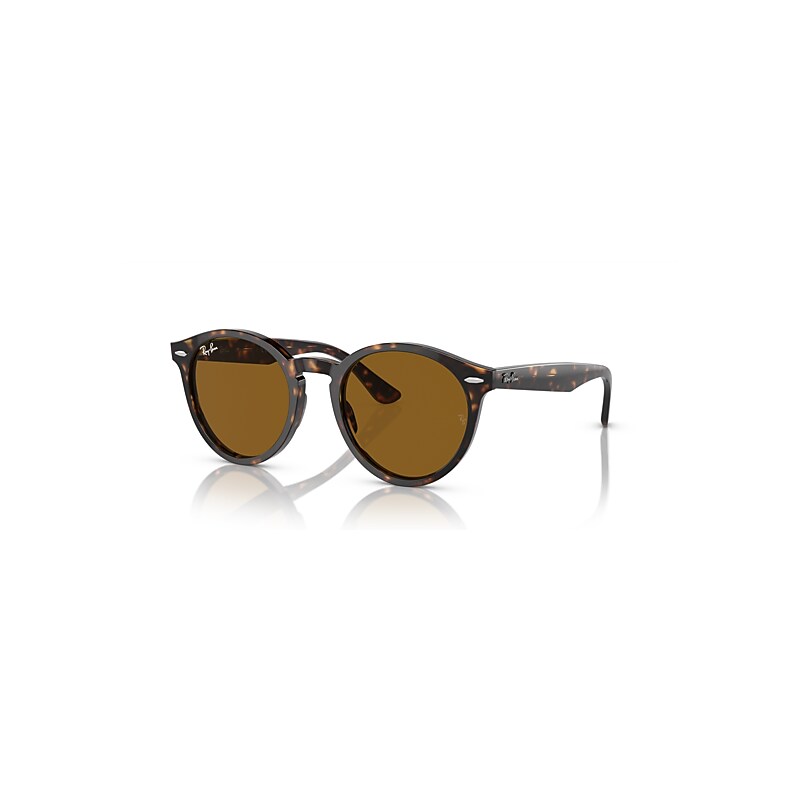 Ray-Ban Sunglasses  Larry - Havana Frame Brown Lenses 51-21, RB7680S