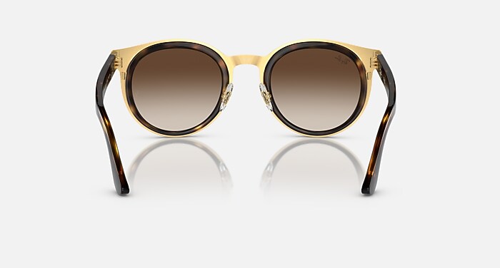 BONNIE Sunglasses in Havana On Gold and Brown - RB3710 | Ray-Ban® US