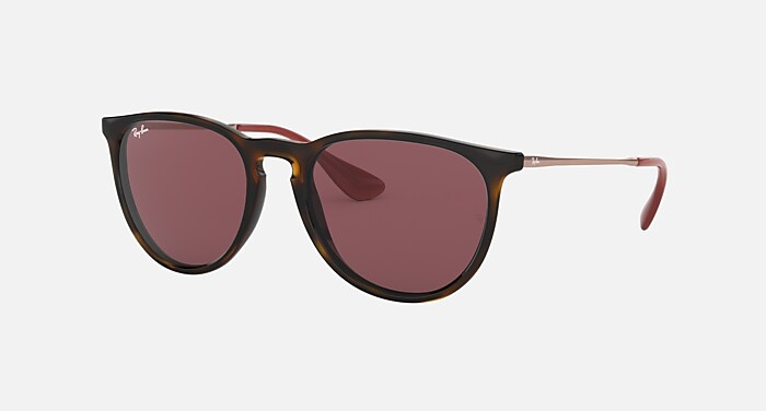 ERIKA COLOR MIX Sunglasses in Havana and Dark Violet - RB4171F