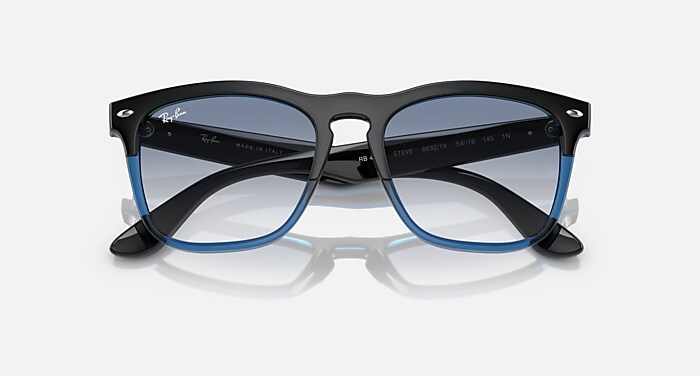 STEVE Sunglasses in Black On Blue and Blue - RB4487 | Ray-Ban® US