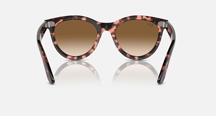 WAYFARER WAY Sunglasses in Pink Havana and Clear & Brown (54-21