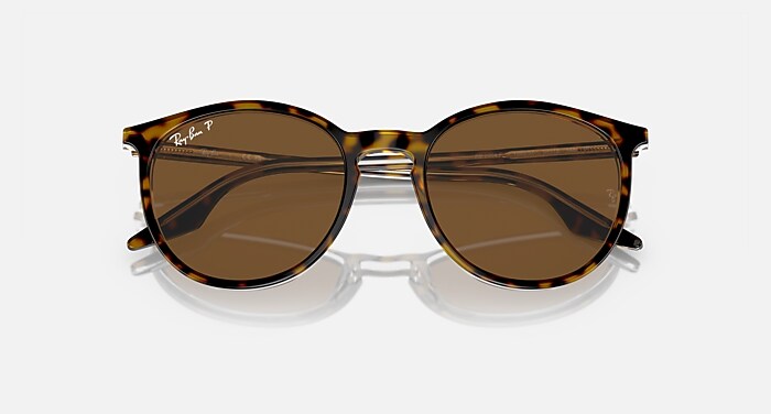 RB2204 Polarized Sunglasses in Havana On Transparent and Brown