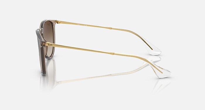 ERIKA CLASSIC Sunglasses in Transparent Light Brown and  display picture 1