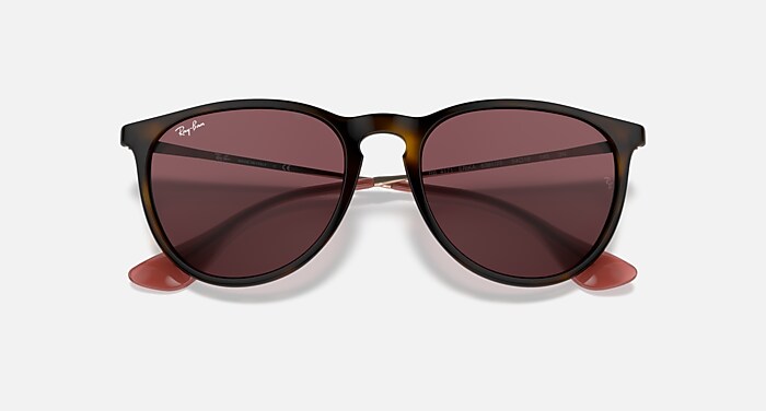 ERIKA COLOR MIX Sunglasses in Havana and Dark Violet (54-18