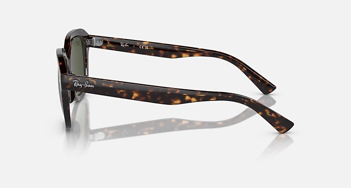 ERIK Sunglasses in Havana and Green (53-20) - RB4398 | Ray-Ban® US