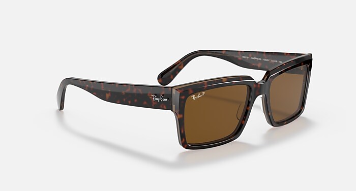 INVERNESS Sunglasses in Havana On Transparent Brown and  display picture 1