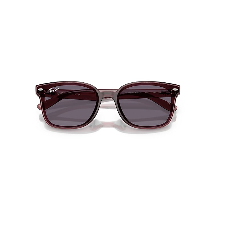 RB4461D Sunglasses in Transparent Dark Brown and Violet (64-17