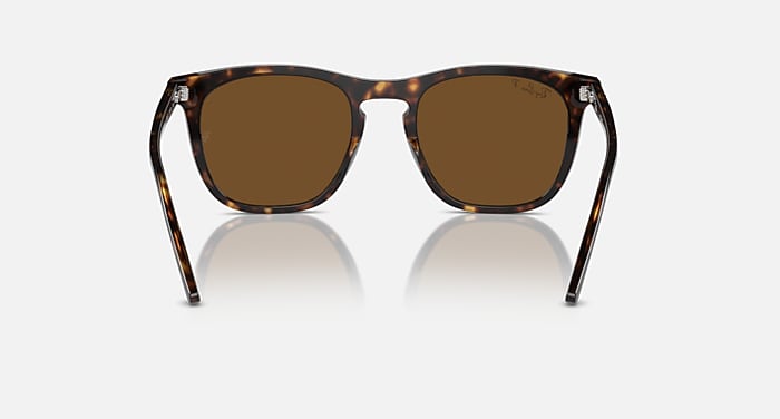 レイバン公式ストア】 Ray-Ban® RB2210 サングラス | ハバナ X