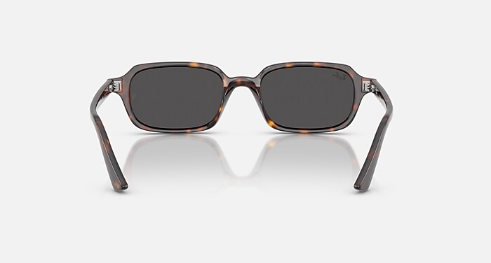 ZURI BIO-BASED Sunglasses in Havana and Dark Grey - RB4455 | Ray