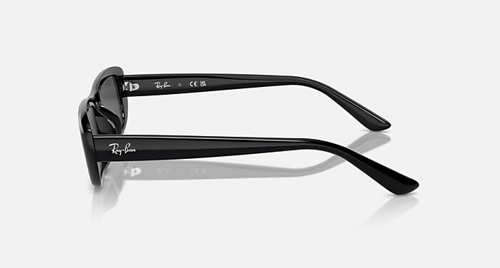 レイバン公式ストア】 Ray-Ban® RB4436D BIO-BASED サングラス 