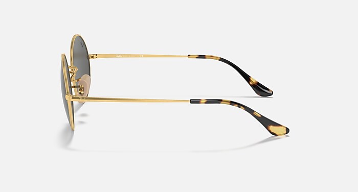 OVAL 1970 Sunglasses in Arista Gold and Dark Grey (54-19) - RB1970