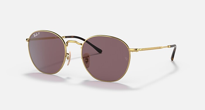 ROB Sunglasses in Arista Gold and Dark Violet Polarized - RB3772