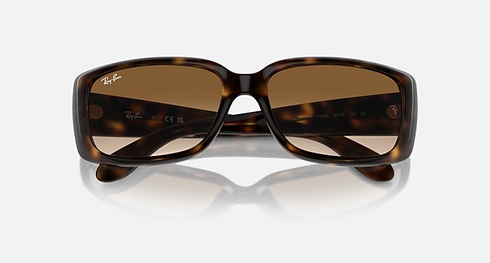 レイバン公式ストア】 Ray-Ban® RB4389 サングラス | ハバナ X クリア